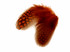1/4 Lb - Orange Guinea Hen Plumage Polka Dot Feathers Wholesale (Bulk)