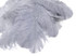 10 Pieces - 18-24" Silver Gray Large Prime Grade Ostrich Wing Plume Centerpiece Feathers