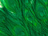 50 Pieces - 30-35" Kelly Green Bleached & Dyed Peacock Tail Eye Wholesale Feathers (Bulk) 