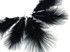 1 Pack - Black Turkey Marabou Short Down Fluff Loose Feathers 0.10 Oz.