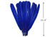 6 Pieces - Royal Blue Turkey Pointers Primary Wing Quill Large Feathers