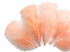 1 Pack - Peach Pink Dyed Turkey T-Base triangle Body Plumage Feathers 0.50 Oz.