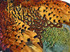 1 Piece - Complete Natural Ringneck Pheasant Skin Pelt Without Wing And Tails