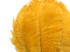 100 Pieces - 11-13" Golden Yellow Ostrich Drabs Wholesale Body Feathers (Bulk)