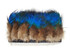 High quality blue peacock fringe trim. This trim can be used for fashion, costumes, cosplay, and decorations.