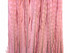 Long ringneck pheasant tail feathers dyed light pink. These long feathers are perfect for crafts, decor, costumes, and fashion.