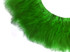 1 Yard - Kelly Green Marabou Turkey Fluff Feather Fringe Trim