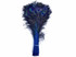 50 Pieces - 30-35" Royal Blue Dyed Over Natural Long Peacock Tail Eye Wholesale Feathers (Bulk)