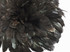 1 Yard - Black Bronze Natural Strung Rooster Schlappen Wholesale Feathers (Bulk)