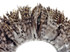 4 Inch Strip - 6-7" Grey Chinchilla Strung Chinese Rooster Saddle Feathers