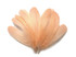 1/4 Lb - Peach Goose Nagoire Wholesale Feathers (Bulk)