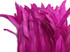 1 Yard - 10-12" Hot Pink Bleach Coque Tails Long Feather Trim (Bulk)