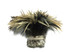 4 Inch Strip - 4-6" Natural Golden Badger Strung Chinese Rooster Saddle Feathers