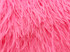 6 Inch Strip - Candy Pink Ostrich Fringe Trim Feather