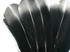 1/4 lbs. - Silver Metallic Spray Paint Over Black Tipped Tom Turkey Rounds Imitation "Eagle" Wholesale Feathers (Bulk)