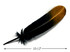 6 Pieces - Gold Tipped Metallic Spray Painted Black "Imitation Eagle" Turkey Tom Rounds Secondary Wing Quill Feathers