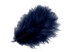 1 Pack - Navy Blue Turkey Marabou Short Down Fluff Loose Feathers 0.10 Oz.