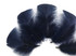 1/4 Lb - Navy Blue Turkey T-Base Wholesale Body Plumage Feathers (Bulk)