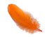 1/4 Lb - Orange Goose Nagoire Wholesale Feathers (Bulk)