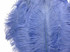 10 Pieces - 19-24" Light Blue Ostrich Dyed Drabs Body Feathers