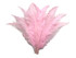10 Pieces - 20-28" Light Pink Ostrich Spads Large Wing Feathers