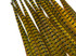50 Pieces - 18-22" Yellow Dyed Over Natural Long Ringneck Pheasant Tail Wholesale Feathers (Bulk)