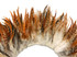 1 Yard - 6-7" Natural Red Chinchilla Strung Chinese Rooster Saddle Wholesale Feathers (Bulk)