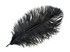 25 Pieces - 14-17" Black Ostrich Drab Centerpiece Feathers Sets