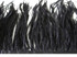 10 Yards - Black Ostrich Fringe Trim Wholesale Feather (Bulk)