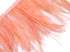 10 Yards - Peach Pink Ostrich Fringe Trim Wholesale Feather (Bulk)