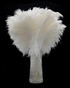 50 Pieces - 12-16" Snow White Ostrich Tail Centerpiece Costume Wholesale Feathers (Bulk)