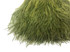 10 Yards - Olive Green Ostrich Fringe Trim Wholesale Feather (Bulk)