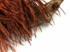 10 Yards - Brown Ostrich Fringe Trim Wholesale Feather (Bulk)