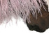 10 Yards - Taupe Ostrich Fringe Trim Wholesale Feather (Bulk)