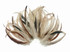 Wholesale Pack - 10-14" Natural Beige Mix Coque Tail Strung Rooster Feathers 2 Oz. (Bulk)
