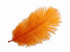 100 Pieces - 8-10" Orange Ostrich Dyed Drab Body Wholesale Feathers (Bulk)