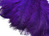 100 Pieces - 11-13" Purple Ostrich Drabs Wholesale Body Feathers (Bulk)