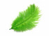 100 Pieces - 11-13" Lime Green Ostrich Drabs Wholesale Body Feathers (Bulk)