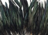 1/8 Lb. -  16-18" Natural Black Half Bronze Coque Tail Strung Wholesale Feathers (Bulk)