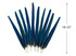 10 Tails Feather Set -  18-23" Iridescent Blue And Yellow Macaw Tail Feather Set - Rare-