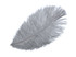 1/2 lb. - 14-17" Silver Gray Ostrich Large Body Drab Wholesale Feathers (Bulk)