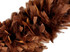 2 Yards - Brown Heavy Weight Turkey Flat Feather Boa, 150 Gram