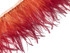 10 Yard - Sunset Orange Ombre Ostrich Fringe Trim Wholesale Feather (Bulk)