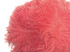 10 Pieces -  12-16" Rose Pink Dyed Ostrich Tail Fancy Feathers