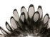 1 Dozen - Heron Gray Whiting Farms Laced Hen Saddle Feathers