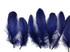 1 Pack - Navy Blue Goose Nagoire Loose Feather - 0.25 Oz