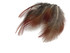 1 Pack - Natural Red Golden Pheasant Plumage Loose Feather 0.10 Oz.