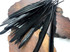10 Pieces - Black Goose Pointers Long Primaries Wing Feathers