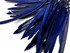 10 Pieces - Navy Blue Goose Pointers Long Primaries Wing Feathers