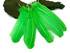 1 Lb. - Lime Green Turkey Tom Rounds Secondary Wing Quill Wholesale Feathers (Bulk)